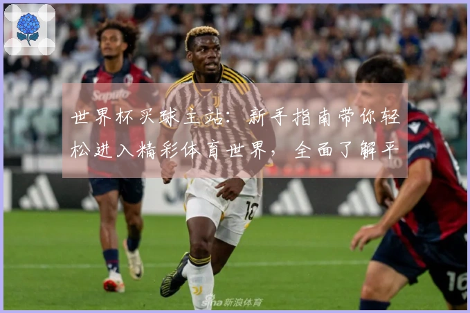 世界杯买球主站：新手指南带你轻松进入精彩体育世界，全面了解平台各项功能