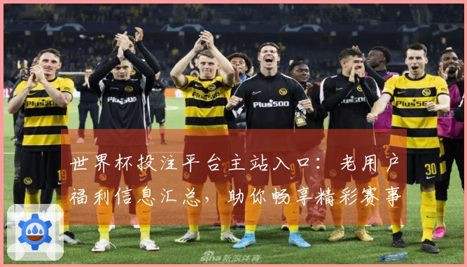 世界杯投注平台主站入口：老用户福利信息汇总，助你畅享精彩赛事体验