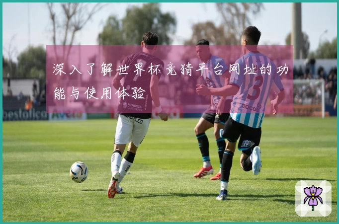 深入了解世界杯竞猜平台网址的功能与使用体验