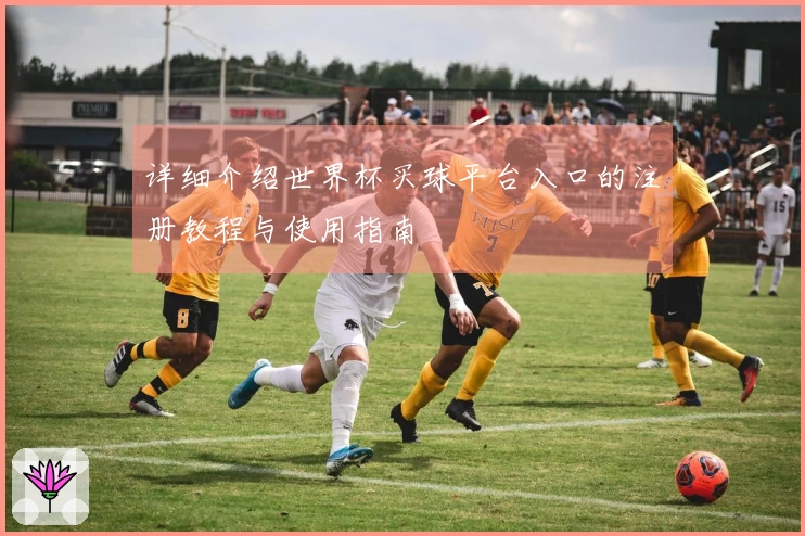 详细介绍世界杯买球平台入口的注册教程与使用指南