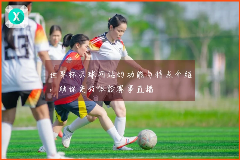 世界杯买球网站的功能与特点介绍，助你更好体验赛事直播