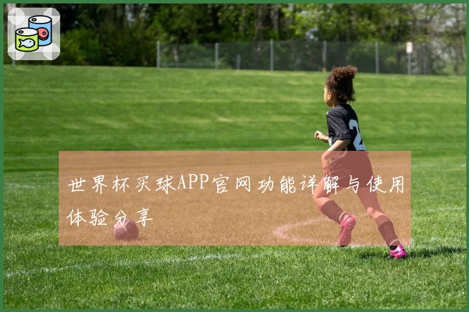 世界杯买球APP官网功能详解与使用体验分享
