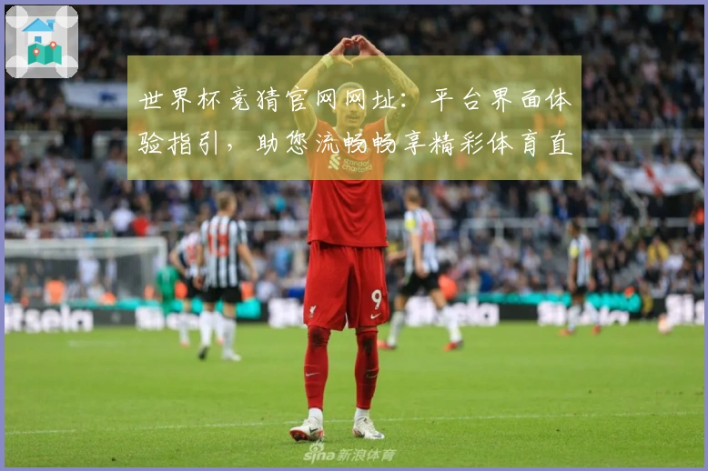 世界杯竞猜官网网址：平台界面体验指引，助您流畅畅享精彩体育直播