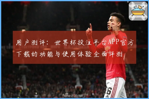 用户测评：世界杯投注平台APP官方下载的功能与使用体验全面评测