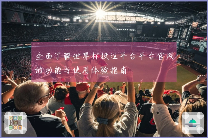 全面了解世界杯投注平台平台官网的功能与使用体验指南