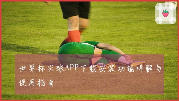 世界杯买球APP下载安装功能详解与使用指南