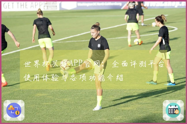 世界杯买球APP官网：全面评测平台使用体验与各项功能介绍