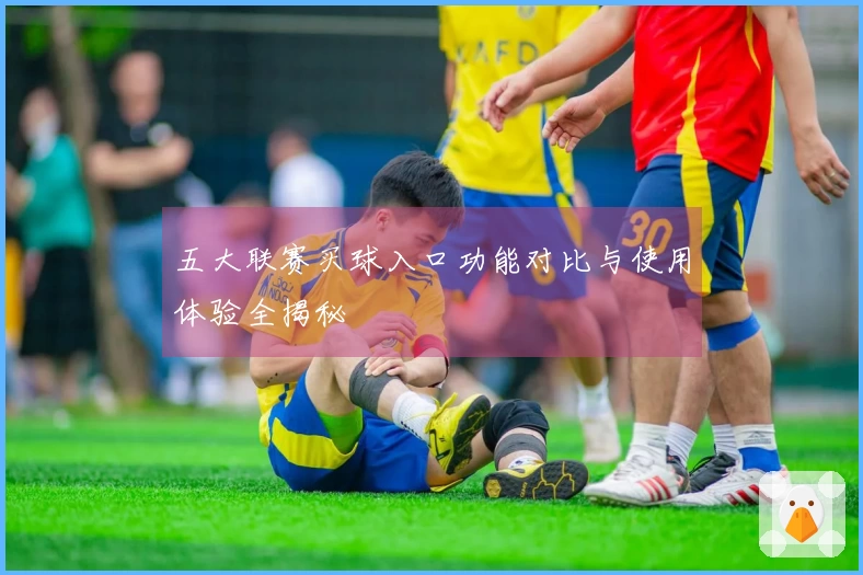 五大联赛买球入口功能对比与使用体验全揭秘
