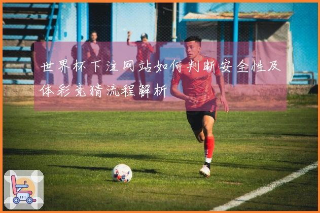 世界杯下注网站如何判断安全性及体彩竞猜流程解析