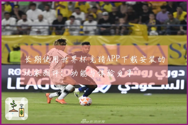 长期使用世界杯竞猜APP下载安装的玩家测评：功能与体验分享