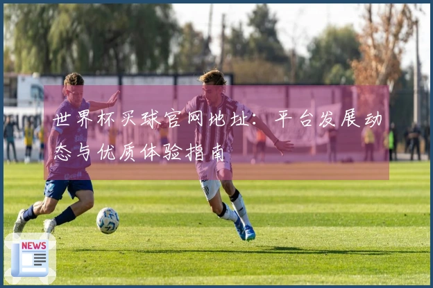 世界杯买球官网地址：平台发展动态与优质体验指南
