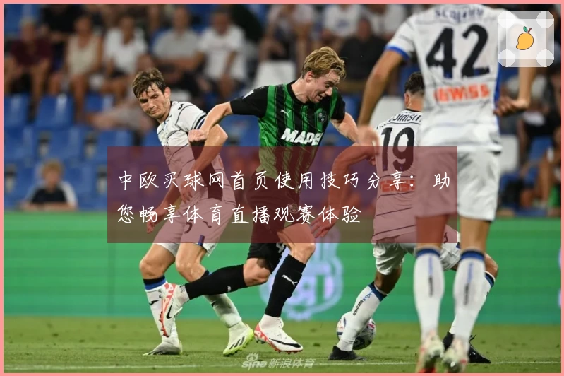 中欧买球网首页使用技巧分享:助您畅享体育直播观赛体验