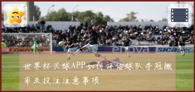 世界杯买球APP如何评估球队夺冠概率及投注注意事项