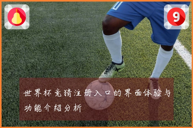 世界杯竞猜注册入口的界面体验与功能介绍分析