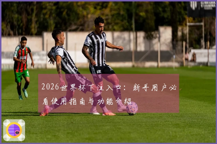 2026世界杯下注入口：新手用户必看使用指南与功能介绍
